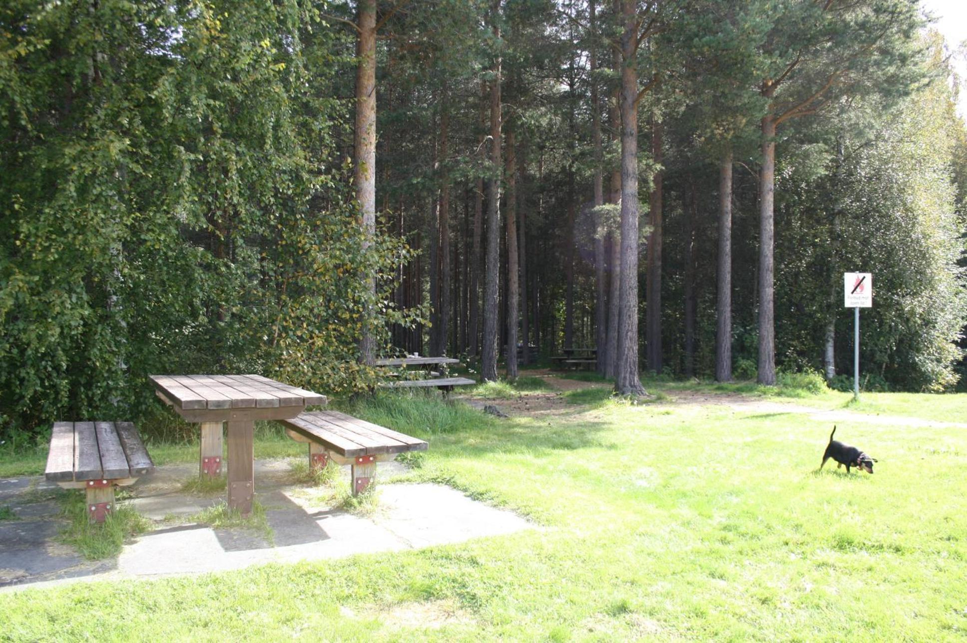 Dovreskogen Gjestegard As Экстерьер фото