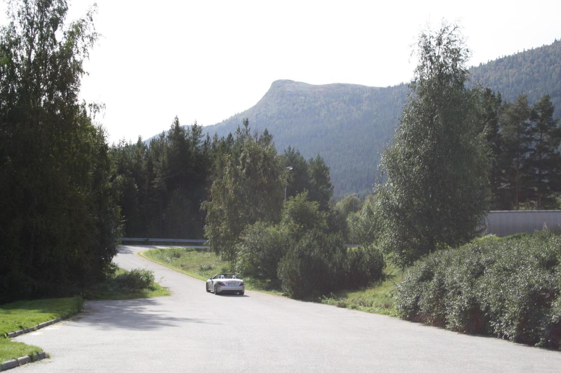 Dovreskogen Gjestegard As Экстерьер фото